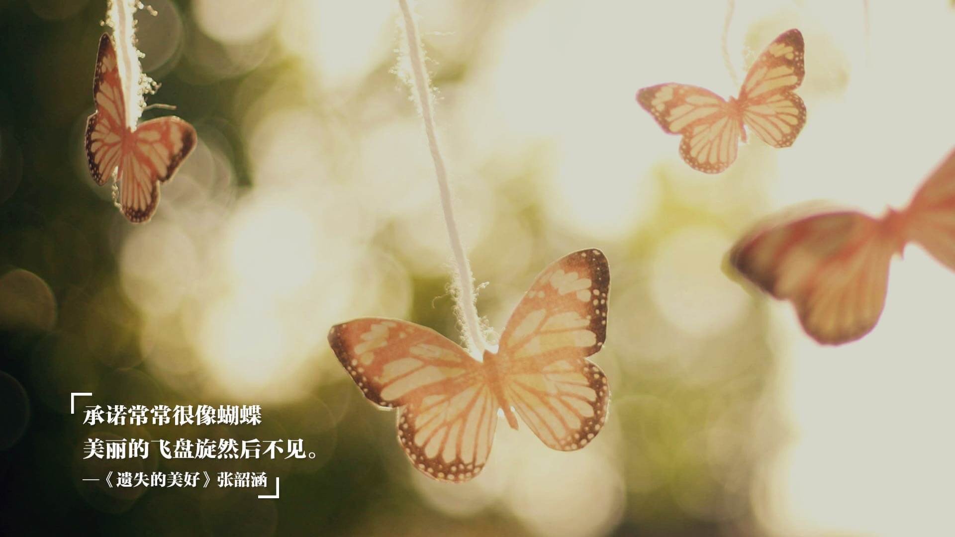 “性能巨兽:顶级豪车的速度狂潮”,性能车速度可以爆表的车