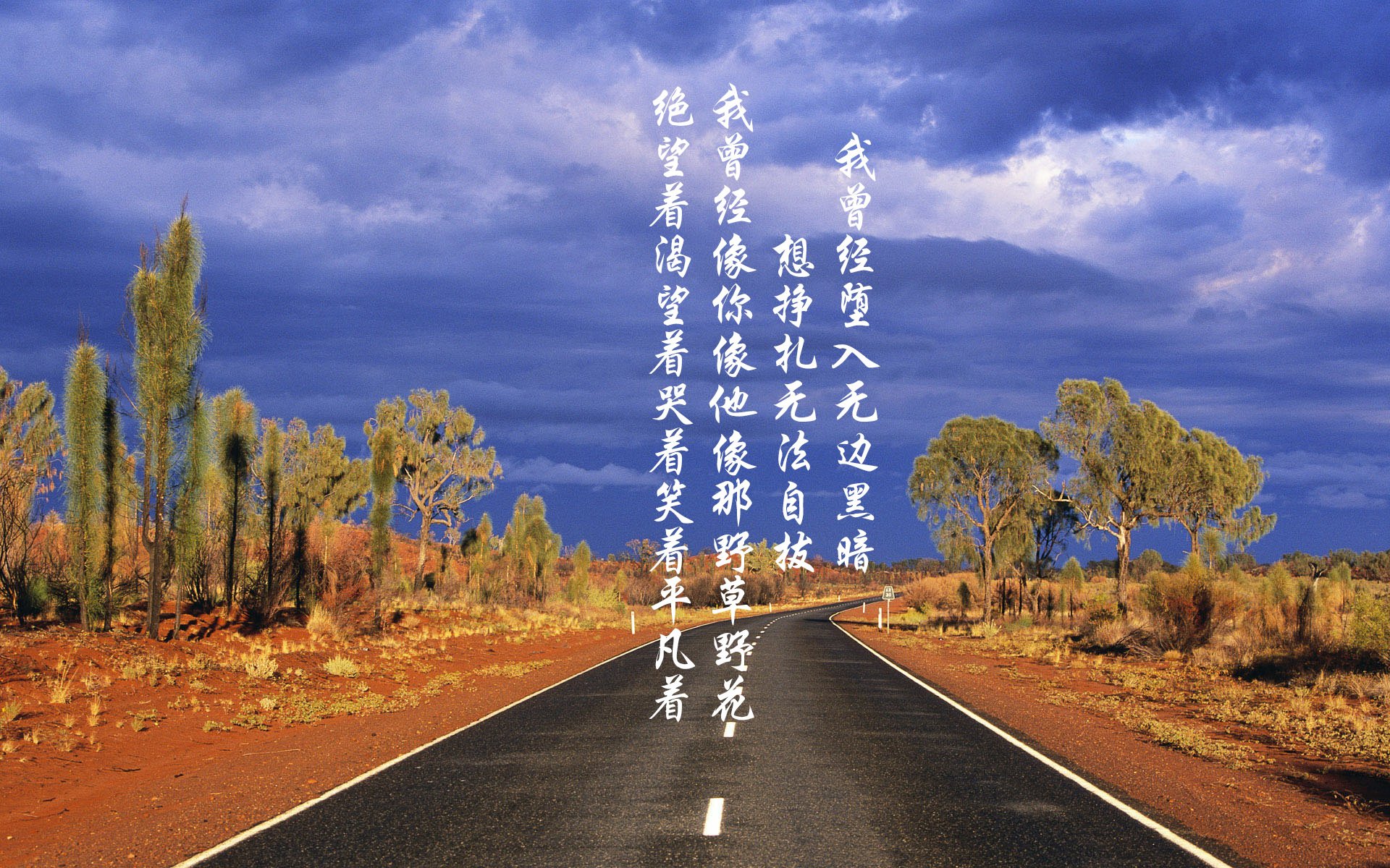 _德约科维奇连续第十次夺取迈阿密大师赛冠军_，德约科维奇迈阿密豪宅